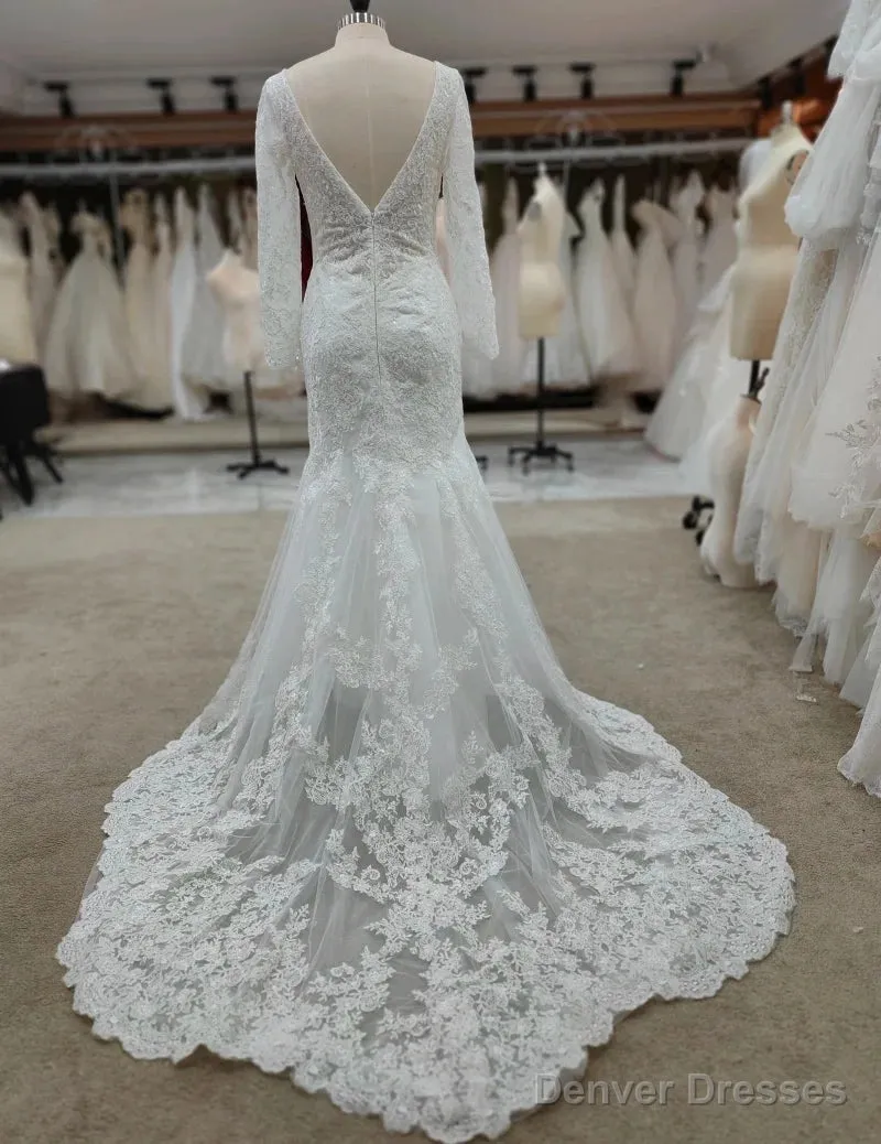 Backless Bohemian Simple V-Neck Long Sleeve Lace Wedding Dress With Train
